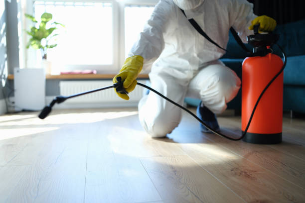 Trusted Trauma Scene Cleanup service in Mountain City, GA - Four Month Blood Cleanse